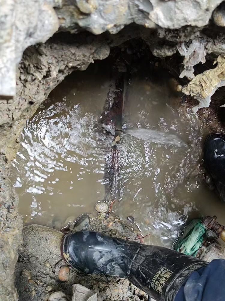 阿里地区本地服务：小区水管漏水检测维修